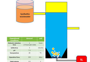 First advances in the preparatory actions of the project