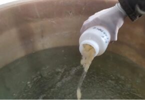 Inoculados los nuevos biorreactores, lo que permitirá incrementar el volumen de agua tratada