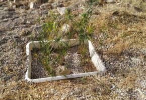 Installed the artificial wetland that allows a circular process in the purification of water.